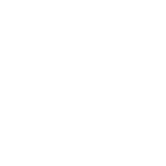 Lavoisier Tech Solutions logo